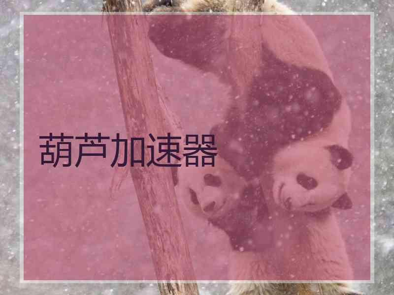 葫芦加速器