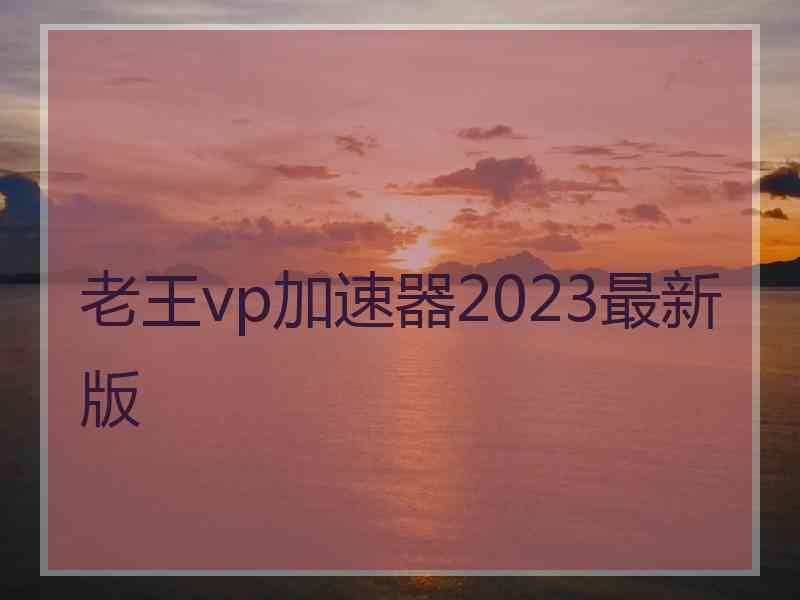 老王vp加速器2023最新版