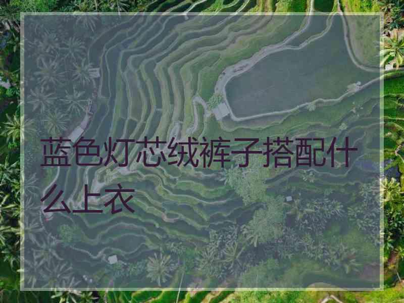 蓝色灯芯绒裤子搭配什么上衣