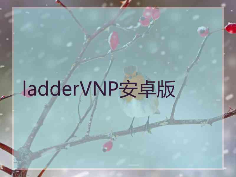 ladderVNP安卓版