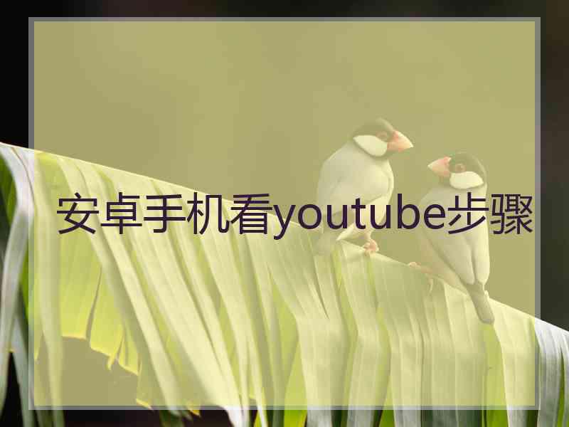 安卓手机看youtube步骤