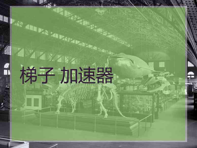 梯子 加速器