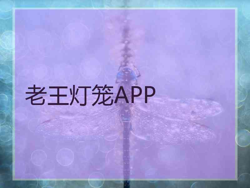 老王灯笼APP