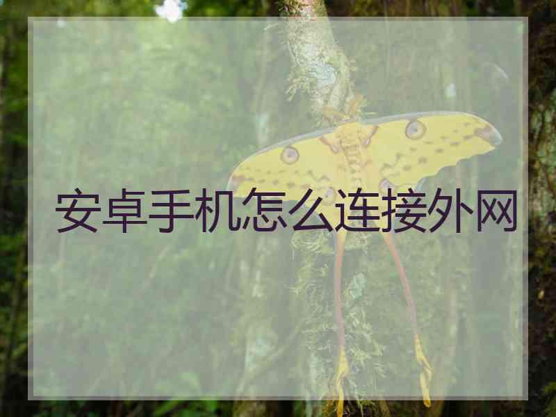 安卓手机怎么连接外网