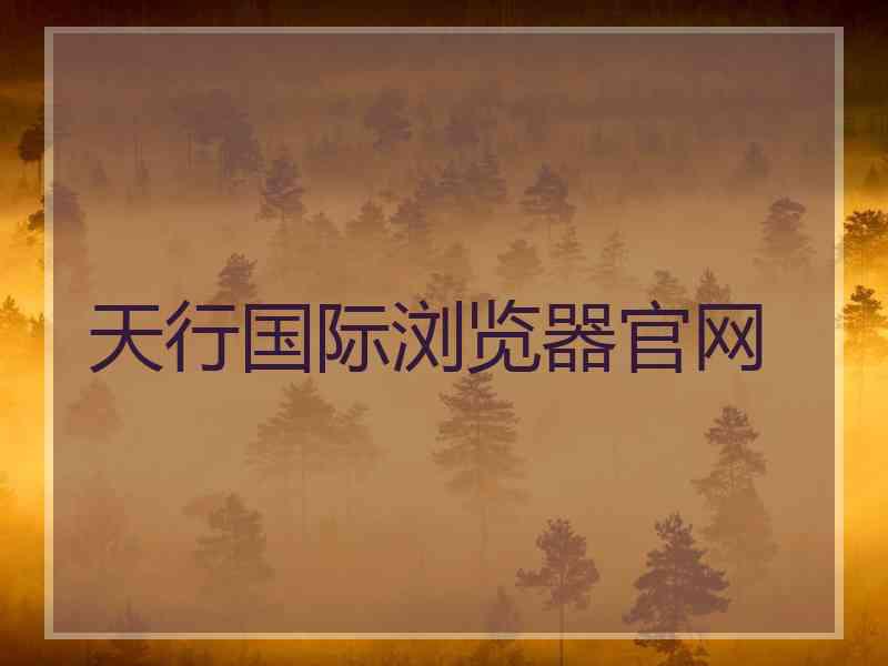 天行国际浏览器官网