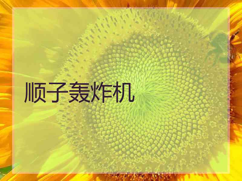 顺子轰炸机