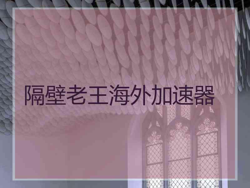 隔壁老王海外加速器