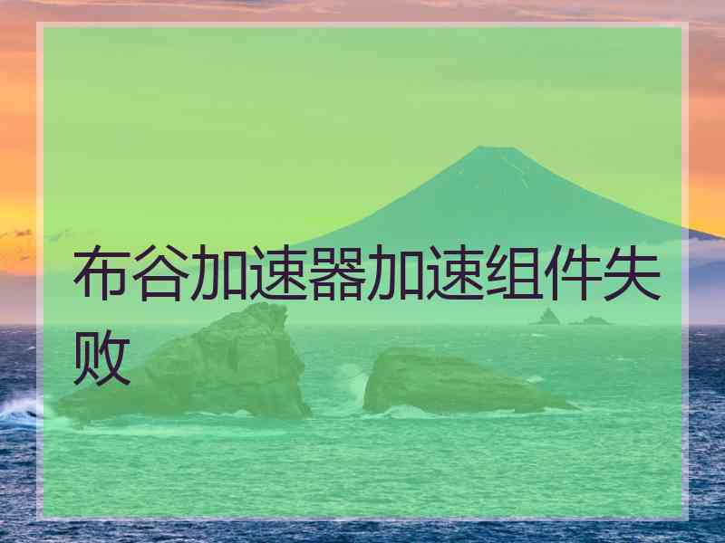 布谷加速器加速组件失败