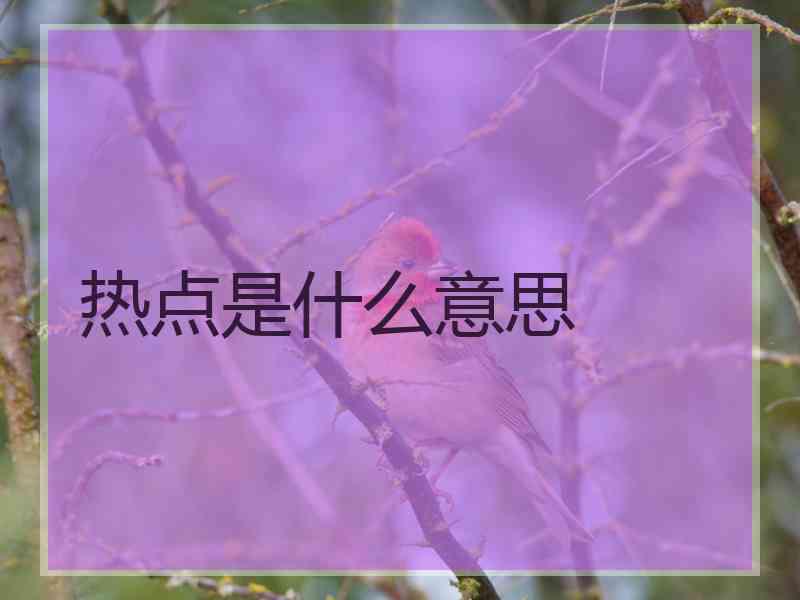 热点是什么意思