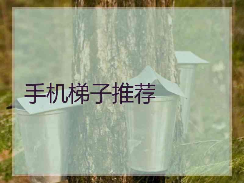 手机梯子推荐