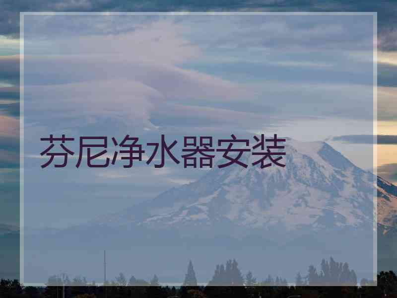 芬尼净水器安装