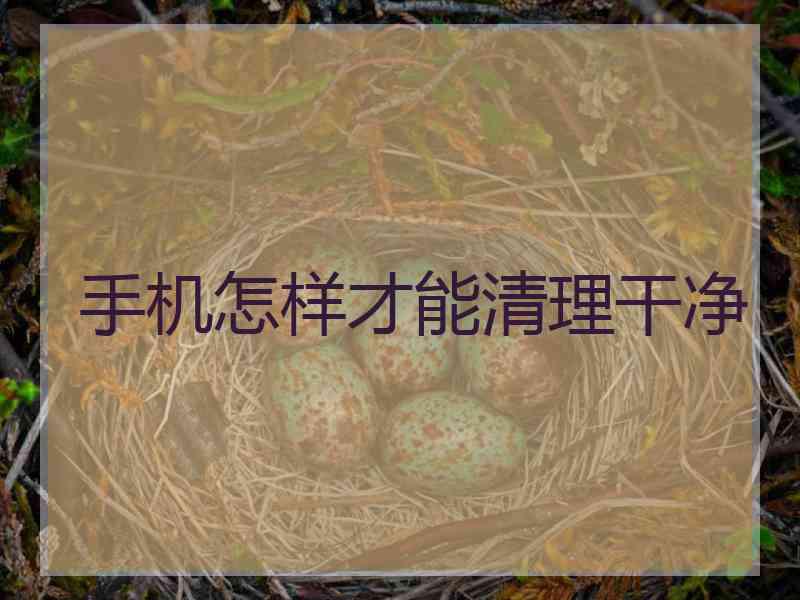 手机怎样才能清理干净