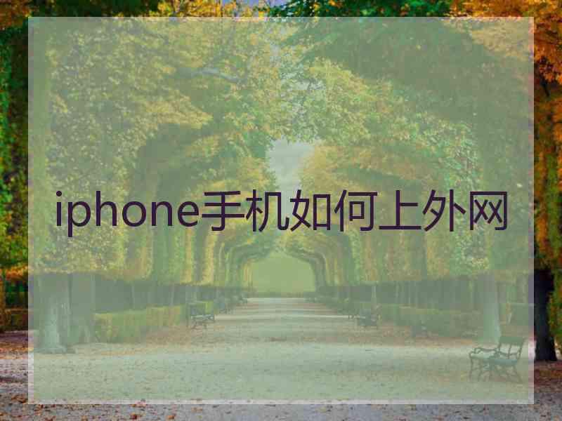 iphone手机如何上外网