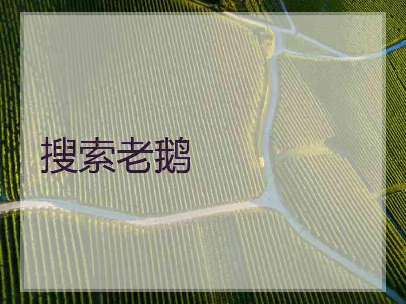 搜索老鹅