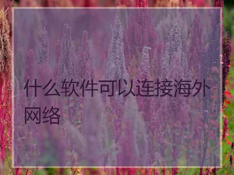 什么软件可以连接海外网络
