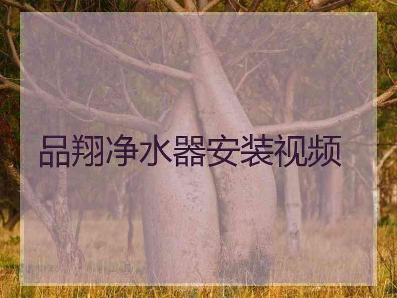 品翔净水器安装视频