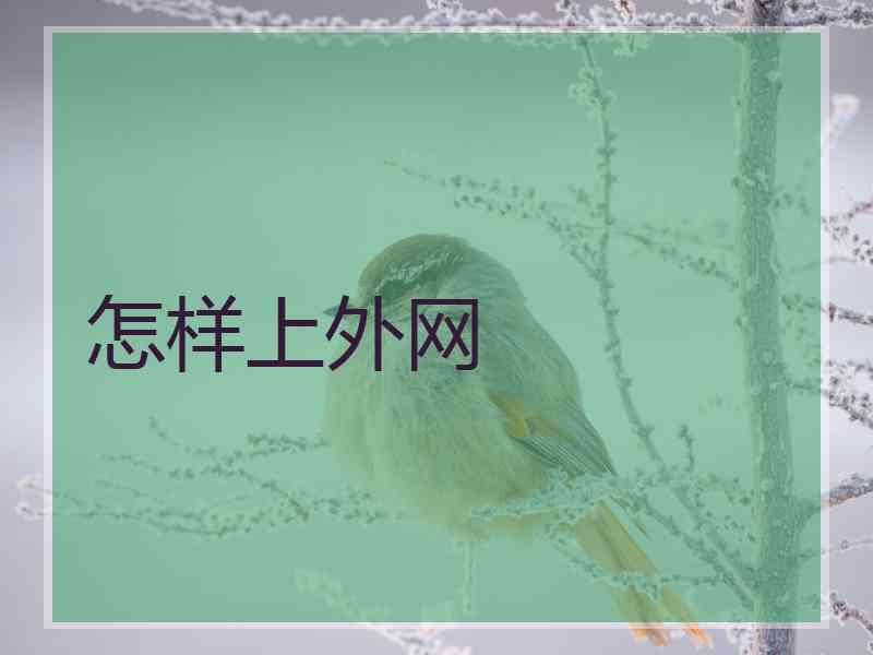 怎样上外网