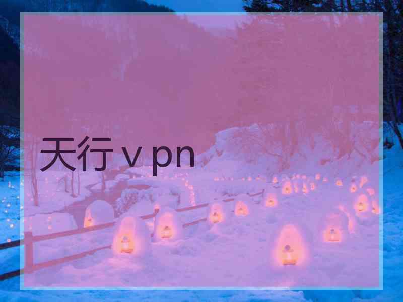 天行ⅴpn