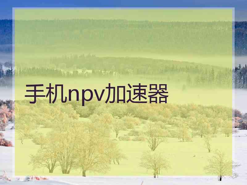 手机npv加速器