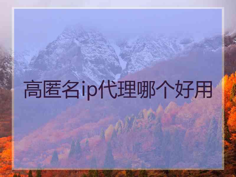 高匿名ip代理哪个好用