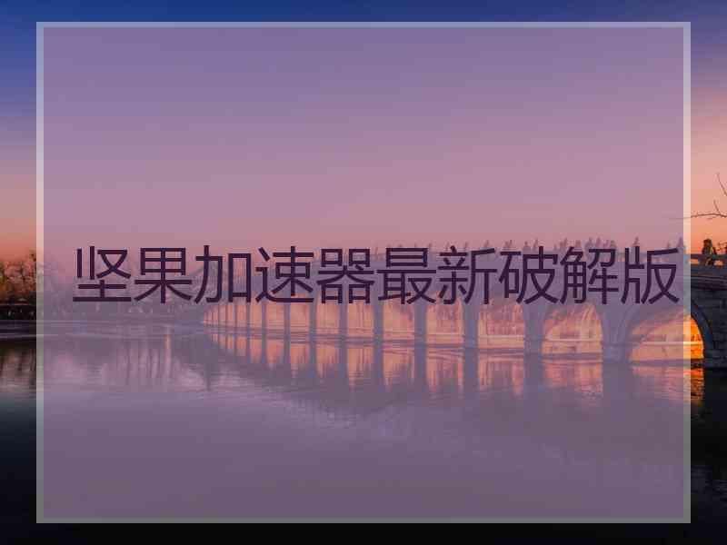 坚果加速器最新破解版