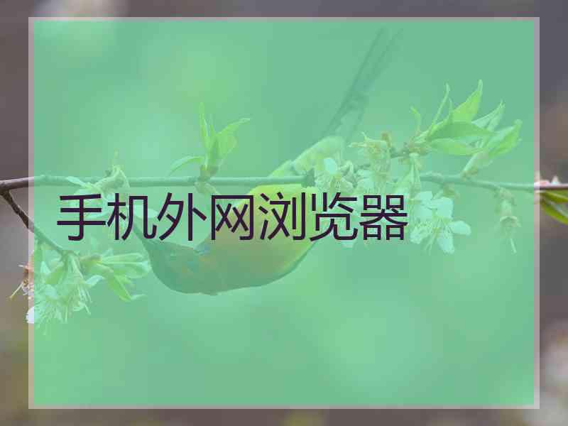 手机外网浏览器