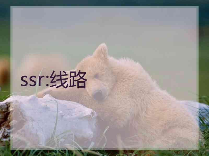 ssr:线路
