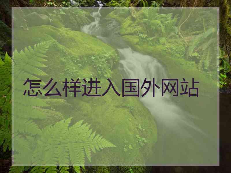 怎么样进入国外网站