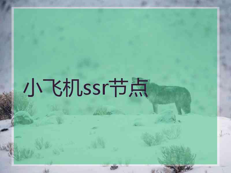 小飞机ssr节点