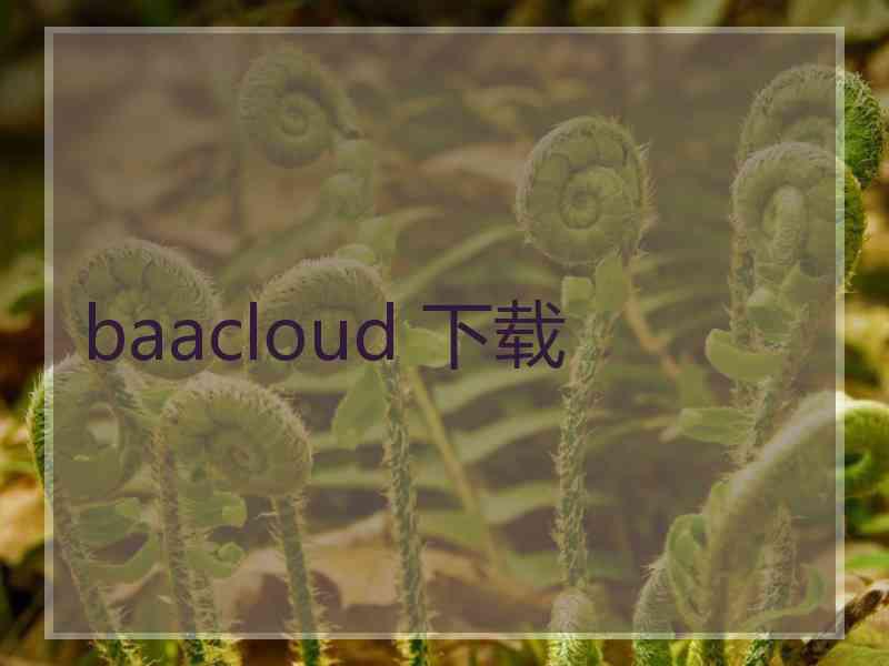 baacloud 下载