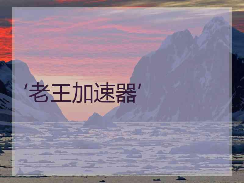 ‘老王加速器’