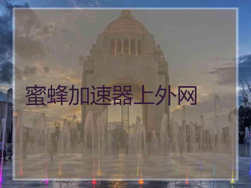 蜜蜂加速器上外网