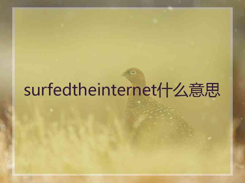 surfedtheinternet什么意思