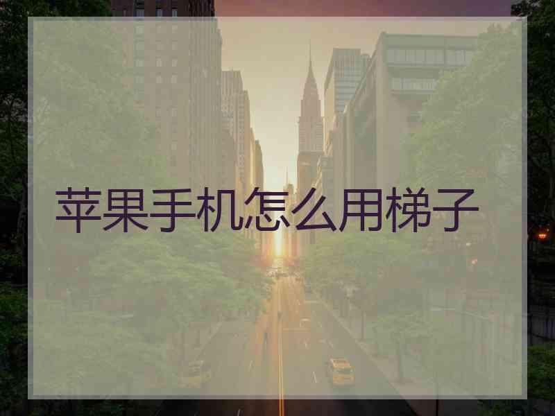 苹果手机怎么用梯子