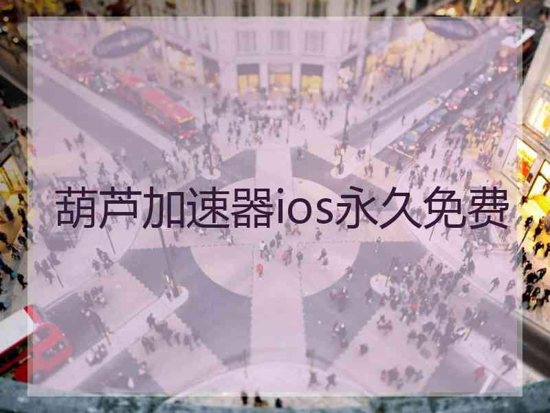 葫芦加速器ios永久免费