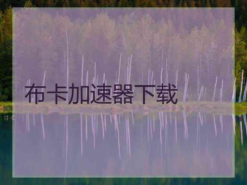布卡加速器下载