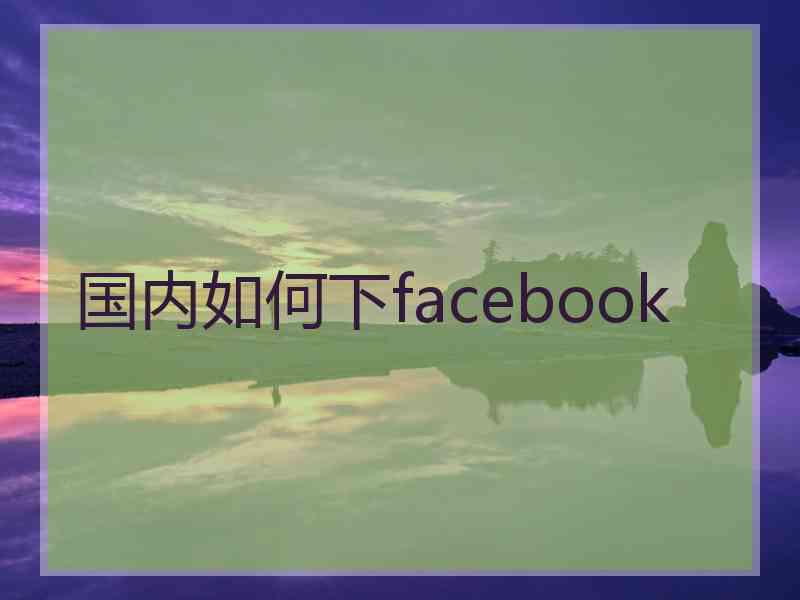 国内如何下facebook