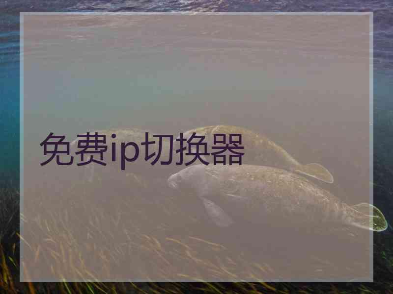 免费ip切换器