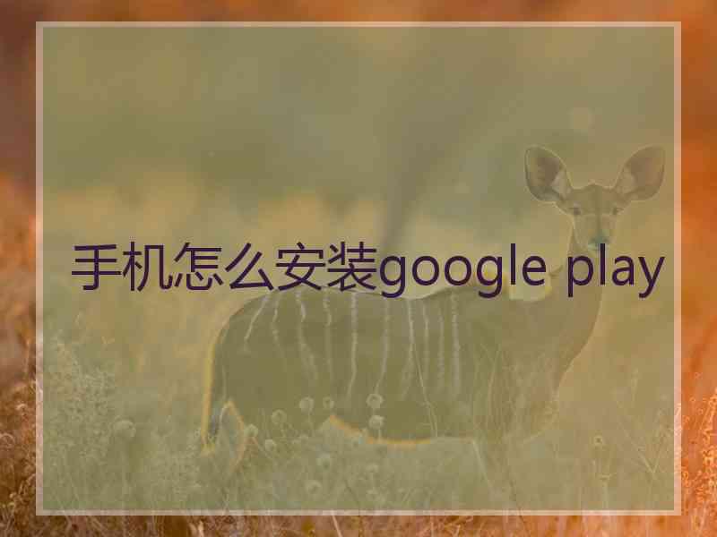 手机怎么安装google play