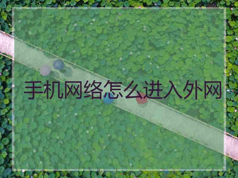 手机网络怎么进入外网