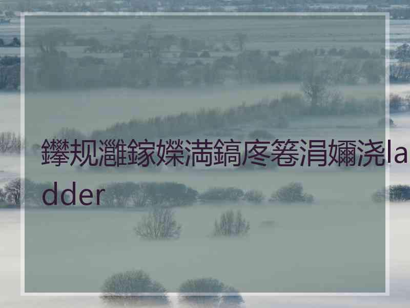 鑻规灉鎵嬫満鎬庝箞涓嬭浇ladder