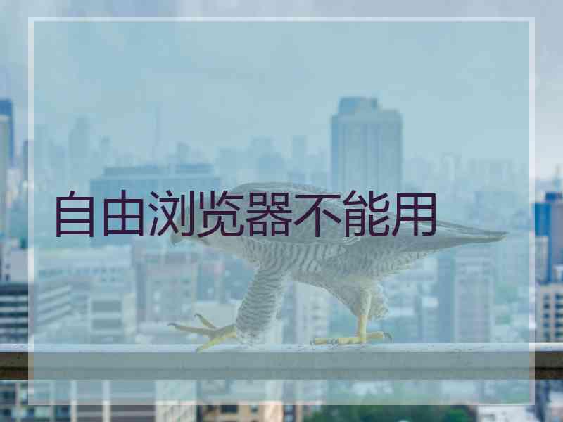 自由浏览器不能用