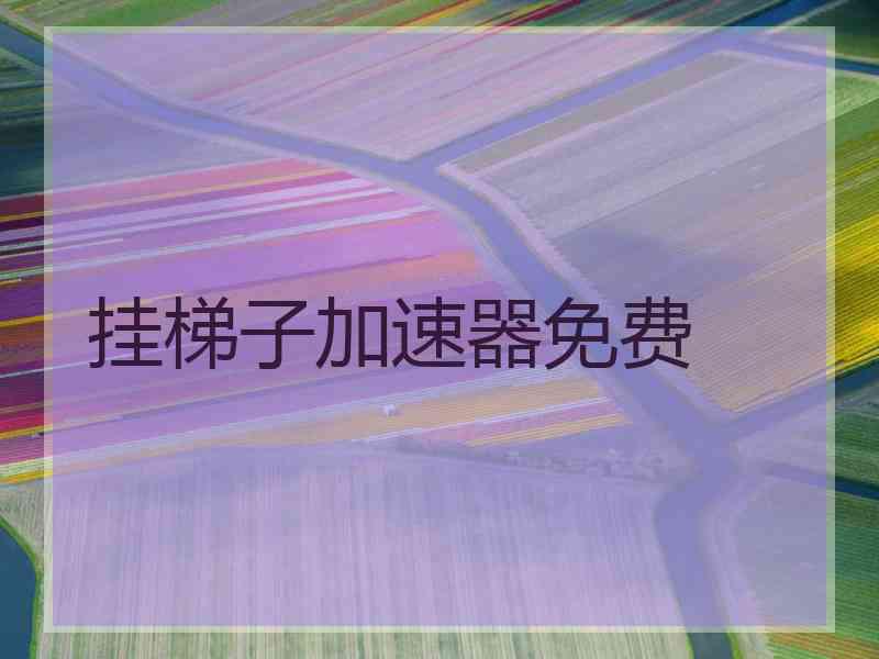 挂梯子加速器免费