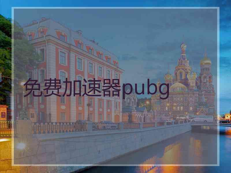 免费加速器pubg