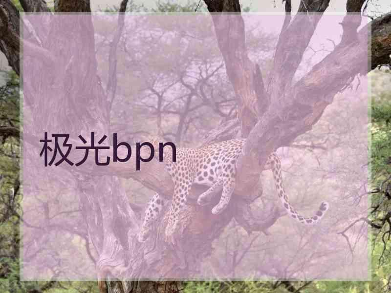 极光bpn