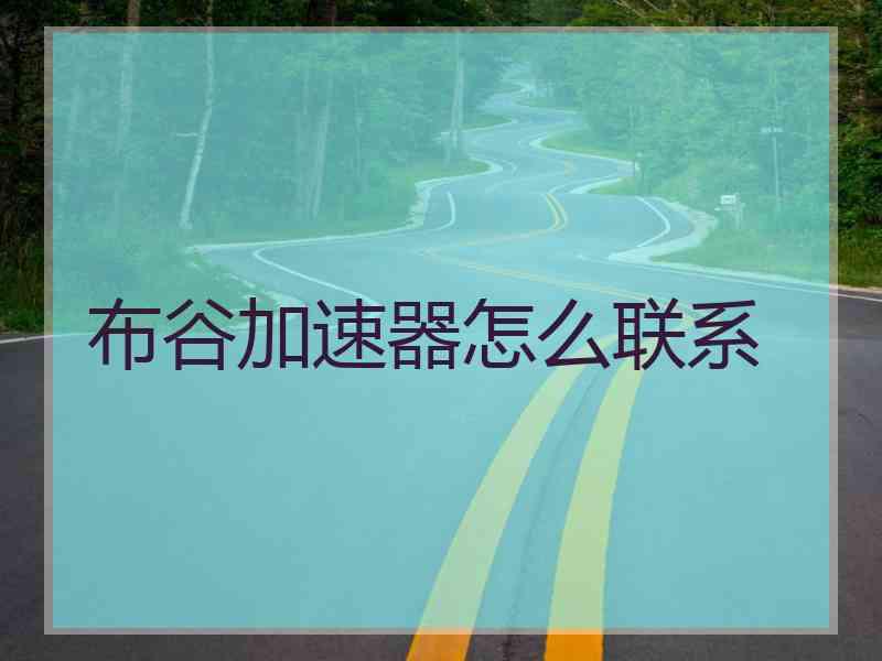 布谷加速器怎么联系