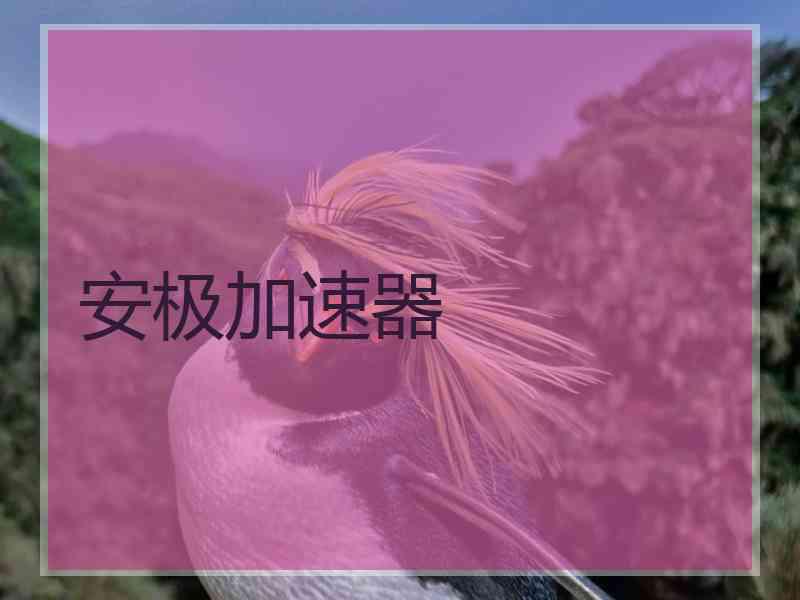 安极加速器