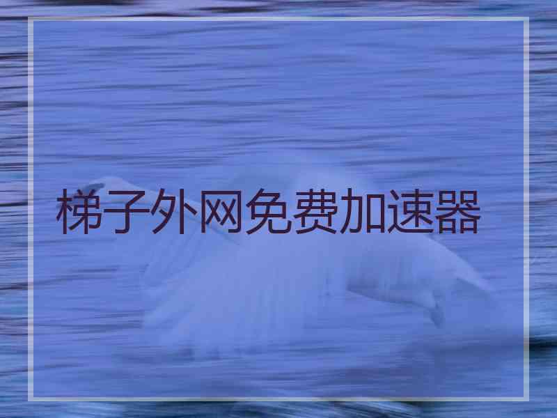 梯子外网免费加速器