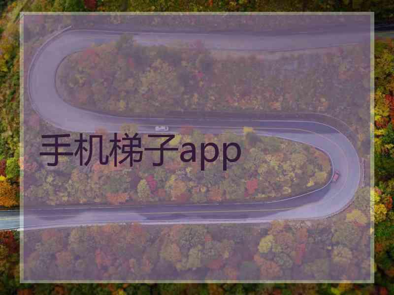 手机梯子app