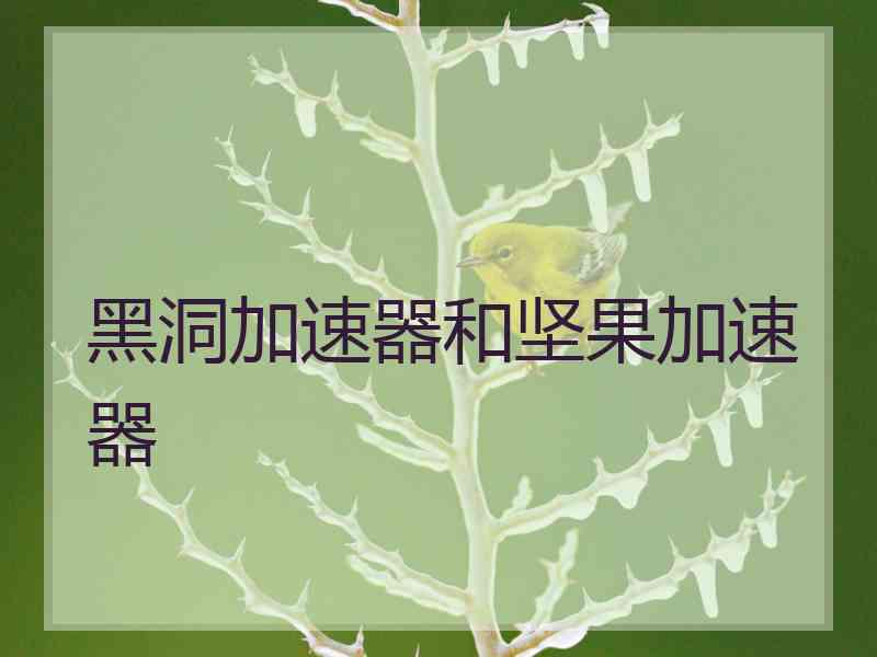 黑洞加速器和坚果加速器